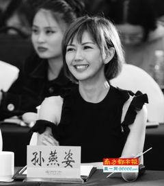 孙燕姿爆料神器视频播放,视频播放背后的秘密大公开  第3张