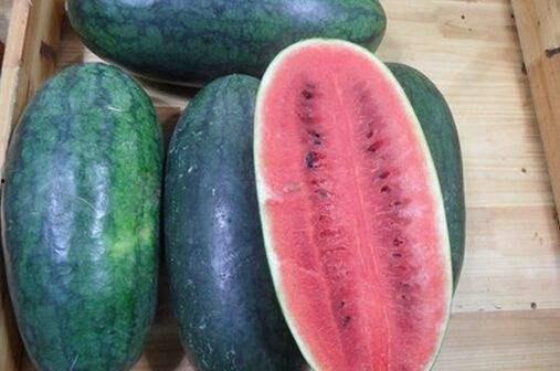 青岛吃瓜网红事件,一场网络舆论的风暴与反思 第3张 青岛吃瓜网红事件,一场网络舆论的风暴与反思 第3张